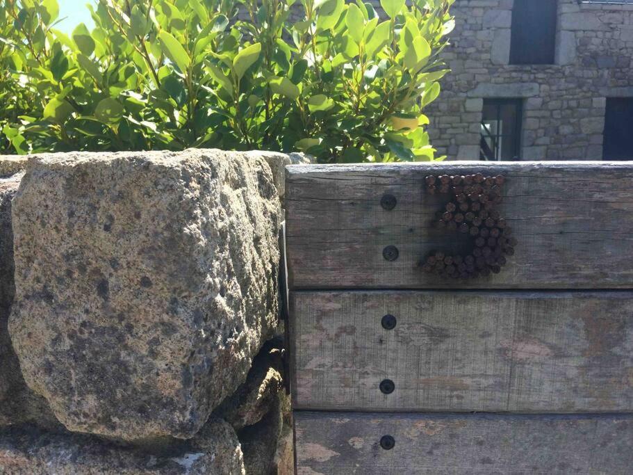 Ballade A Pied De La Ria - Nice Walk From The Door Belz Bagian luar foto